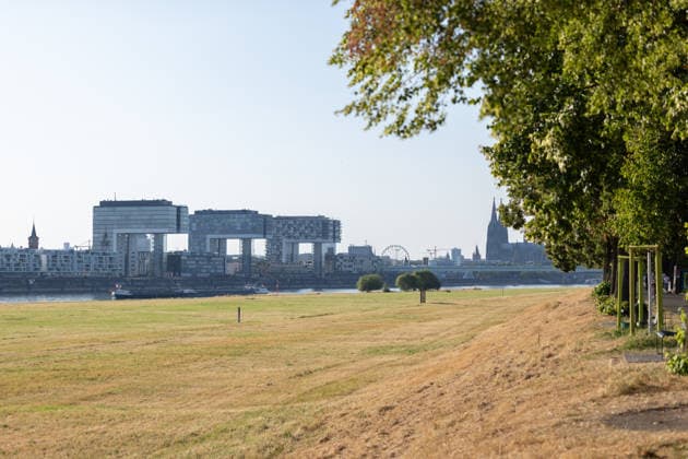 Niedrigwasser am Rhein bei den Poller Wiesen in Köln Anhaltende Hitzewelle in NRW: Der Pegel Köln liegt bei 70 cm nur 1 cm über dem historischen Tiefstwert von 69 cm vom 23. Oktober 2018. Blick über die Poller Wiesen Richtung Kölner Innenstadt ein Bodendenkmal, wo das Jahrhundertniedrigwasser 2003 gut erhaltene Schiffswracks aus dem 16. Jahrhundert freilegte. Köln Nordrhein-Westfalen Deutschland *** Low water levels on the Rhine near the Poller Wiesen in Cologne; ongoing heat wave in North Rhine-Westphalia; the water level at Cologne is 70 cm, just 1 cm above the all-time low of 69 cm recorded on October 23, 2018; view across the Poller Wiesen toward downtown Cologne—an archaeological site, where the record-low water levels o Copyright: xMarcxJohnx