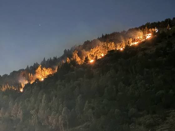 Firefighting efforts continue against forest fire in Izmir IZMIR, TURKIYE - JULY 30: Firefighting teams continue efforts to contain a forest fire in the Bornova district of Izmir, Turkiye, on July 30, 2026, as strong winds fuel the spread of the blaze. Metin Aydemir Anadolu Izmir Turkey. Editorial use only. Please get in touch for any other usage.  Copyright: x2026xAnadoluxMetinxAydemirx
