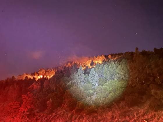 Firefighting efforts continue against forest fire in Izmir IZMIR, TURKIYE - JULY 30: Firefighting teams continue efforts to contain a forest fire in the Bornova district of Izmir, Turkiye, on July 30, 2026, as strong winds fuel the spread of the blaze. Metin Aydemir Anadolu Izmir Turkey. Editorial use only. Please get in touch for any other usage.  Copyright: x2026xAnadoluxMetinxAydemirx