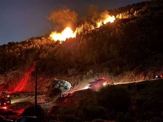 Firefighting efforts continue against forest fire in Izmir IZMIR, TURKIYE - JULY 30: Firefighting teams continue efforts to contain a forest fire in the Bornova district of Izmir, Turkiye, on July 30, 2026, as strong winds fuel the spread of the blaze. Metin Aydemir Anadolu Izmir Turkey. Editorial use only. Please get in touch for any other usage.  Copyright: x2026xAnadoluxMetinxAydemirx