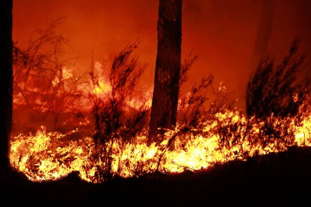 Firefighters continue battling wildfire in southwestern France LEGE-CAP-FERRET, FRANCE - JULY 29: Flames spread through the Grand Crohot forest during a controlled burn carried out near Lege-Cap-Ferret, southwestern France, on July 29, 2026. The operation was conducted as part of wildfire prevention measures following recent blazes in the region. Mohamad Salaheldin Abdelghani Alsayed Anadolu Lege-Cap-Ferret France. Editorial use only. Please get in touch for any other usage.  Copyright: x2026xAnadoluxMohamadxSalaheldinxAbdelghanixAlsayedx