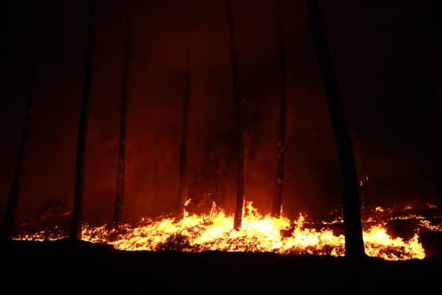 Firefighters continue battling wildfire in southwestern France LEGE-CAP-FERRET, FRANCE - JULY 29: Flames spread through the Grand Crohot forest during a controlled burn carried out near Lege-Cap-Ferret, southwestern France, on July 29, 2026. The operation was conducted as part of wildfire prevention measures following recent blazes in the region. Mohamad Salaheldin Abdelghani Alsayed Anadolu Lege-Cap-Ferret France. Editorial use only. Please get in touch for any other usage.  Copyright: x2026xAnadoluxMohamadxSalaheldinxAbdelghanixAlsayedx