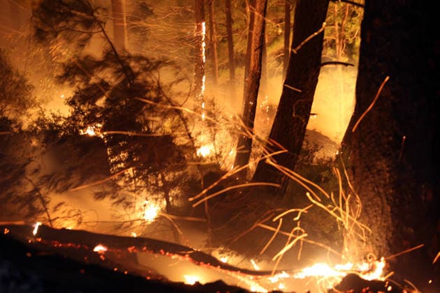 Firefighting efforts continue against forest fire in Antalya ANTALYA, TURKIYE - JULY 30: Firefighting teams continue aerial and ground operations to contain a forest fire that spread due to strong winds in the Alanya district of Antalya, Turkiye, on July 30, 2026. Serhat Cetinkaya Anadolu Antalya Turkey. Editorial use only. Please get in touch for any other usage.  Copyright: x2026xAnadoluxSerhatxCetinkayax