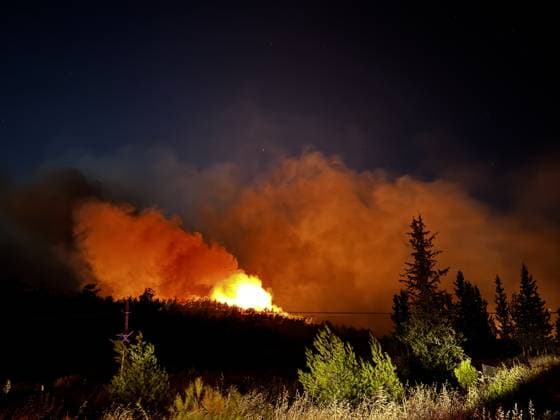 Forest fire breaks out in Mugla s Fethiye MUGLA, TURKIYE - JULY 30: Firefighting teams respond to a forest fire in the Fethiye district of Mugla, Turkiye, on July 30, 2026. Strong winds in the area caused the flames to spread rapidly as efforts to contain the blaze continued. Ali Riza Akkir Anadolu Mugla Turkey. Editorial use only. Please get in touch for any other usage.  Copyright: x2026xAnadoluxAlixRizaxAkkirx
