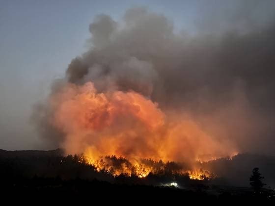 Forest fire breaks out in Mugla s Fethiye MUGLA, TURKIYE - JULY 30: Firefighting teams respond to a forest fire in the Fethiye district of Mugla, Turkiye, on July 30, 2026. Strong winds in the area caused the flames to spread rapidly as efforts to contain the blaze continued. Ali Riza Akkir Anadolu Mugla Turkey. Editorial use only. Please get in touch for any other usage.  Copyright: x2026xAnadoluxAlixRizaxAkkirx