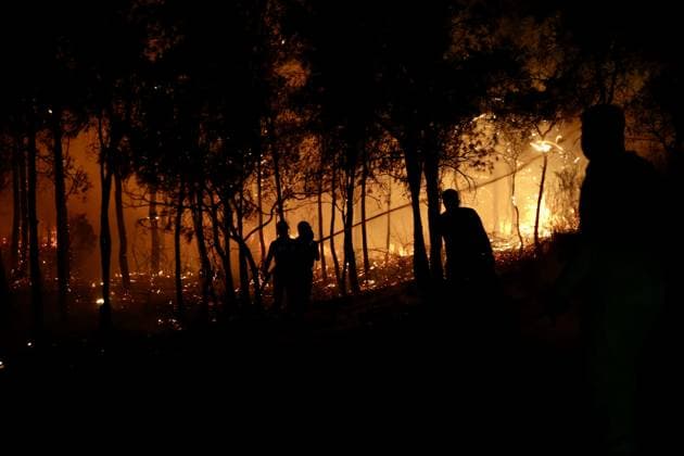 Forest fire breaks out in Mugla s Fethiye MUGLA, TURKIYE - JULY 30: Firefighting teams respond to a forest fire in the Fethiye district of Mugla, Turkiye, on July 30, 2026. Strong winds in the area caused the flames to spread rapidly as efforts to contain the blaze continued. Ali Riza Akkir Anadolu Mugla Turkey. Editorial use only. Please get in touch for any other usage.  Copyright: x2026xAnadoluxAlixRizaxAkkirx