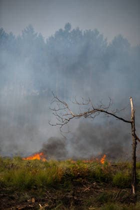 Wildfire Near Le Temple - Gironde Flames burn through low vegetation as smoke rises from an active wildfire near Le Temple, Gironde, southwestern France, on July 29, 2026. Ground fire continues to spread beneath a smoke-filled sky as firefighters work to contain the blaze.  Copyright: xSaptexFabrice ABACAx