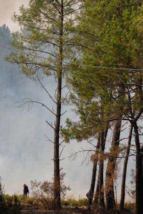 Wildfire Near Le Temple - Gironde A distant firefighter walks through a smoke-filled forest during mop-up operations following a wildfire near Le Temple, Gironde, southwestern France, on July 29, 2026. The wide scene highlights the scale of the burned landscape as crews continued extinguishing remaining hotspots and securing the fire perimeter.  Copyright: xSaptexFabrice ABACAx