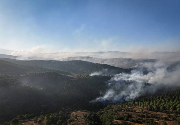 Firefighters battle forest fire for second day in Balikesir s Gomec district BALIKESIR, TURKIYE - JULY 30: Aerial and ground firefighting operations continue for a second day to contain a forest fire in the Gomec district of Balikesir, Turkiye, on July 30, 2026. Sergen Sezgin Anadolu Balikesir Turkey. Editorial use only. Please get in touch for any other usage.  Copyright: x2026xAnadoluxSergenxSezginx