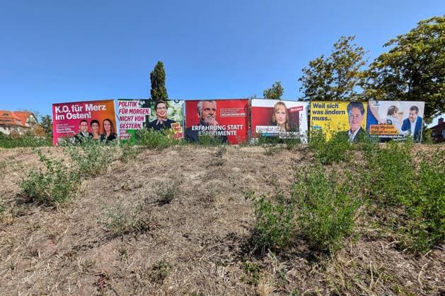 Halle (Saale), Sachsen-Anhalt, Deutschland, 30.07.2026: Wahlplakate zur Landtagswahl von Claudia Wittig (BSW), Thomas Schulze (BSW), Susan Sziborra-Seidlitz (Grüne), Armin Willingmann (SPD), Eva von Angern (Linke), Lydia Hüskens (FDP) und Sven Schulze (CDU) *** Halle-Saale, Saxony-Anhalt, Germany, July 30, 2026 Election posters for the state election featuring Claudia Wittig (BSW), Thomas Schulze (BSW), Susan Sziborra Seidlitz (Greens), Armin Willingmann (SPD), Eva von Angern (The Left), Lydia Hüskens (FDP), and Sven Schulze (CDU) Copyright: xdtsxNachrichtenagenturx dts_129053