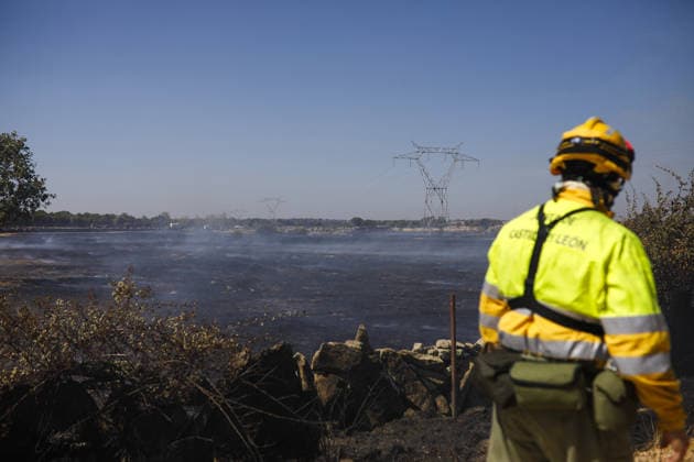 The Fermoselle wildfire has left more than 800 people evacuated from 14 towns despite positive developments overnight. A firefighter works to extinguish a wildfire on July 30, 2026, in Muga de Sayago, Zamora, Castile and León, Spain. The fire, which began yesterday, Wednesday, July 29, has improved overnight, with the northern and eastern fronts now stabilized, although four active sectors remain on the southern and western flanks, forcing the evacuation of more than 800 people from 14 towns JULY 30, 2026 FOREST FIRE Paloma V Muga de Sayago, Zamora, Castile Muga de Sayago, Zamora, Castile Spain  Copyright: xPalomaxV.xEscarpax 7695264