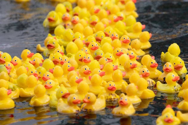 Annual Rubber Duck Race at Merchant Square, Paddington, London, UK - Thu 30 July 2026 Numbered Rubber ducks are guided to the finish line as part of the Annual Rubber Duck race in Merchant Square, Paddington in London, England, UK on Thursday 30 July 2026 and in aid of the Cosmic Charity, an organisation that supports the children and neonatal intensive care units at St Mary™s & Queen Charlotte™s Hospital., Credit:Justin Ng Avalon UK, England, London, Merchant Square, Paddington  Copyright: xJustinxNgx xAvalonx 1119713764