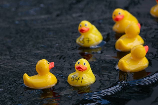 Annual Rubber Duck Race at Merchant Square, Paddington, London, UK - Thu 30 July 2026 Numbered Rubber ducks are guided to the finish line as part of the Annual Rubber Duck race in Merchant Square, Paddington in London, England, UK on Thursday 30 July 2026 and in aid of the Cosmic Charity, an organisation that supports the children and neonatal intensive care units at St Mary™s & Queen Charlotte™s Hospital., Credit:Justin Ng Avalon UK, England, London, Merchant Square, Paddington  Copyright: xJustinxNgx xAvalonx 1119713761
