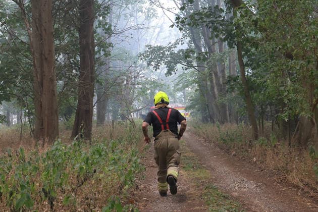 July 30, 2026, Dunwich Heath, Suffolk, UK: Dunwich Heath, UK. Fire Officers surrounded by smoke at the scene of a large wildfire in Dunwich, Suffolk. The fire began on Wednesday afternoon and has been declared a major incident. Up to 90 firefighters have been tackling the blaze. Dunwich Heath UK  - ZUMAl94_ 20260730_zaf_l94_071 Copyright: xJacquelinexLawriex