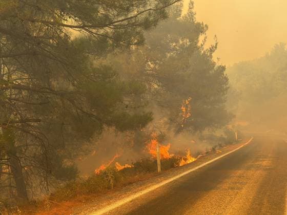 Firefighting efforts continue in Turkiye s Balikesir BALIKESIR, TURKIYE - JULY 30: Smoke from the fire area fills the sky while firefighters and Turkish General Directorate of Forestry teams continue their efforts by air and land on the second day to extinguish the fire that broke out in the forest areas in the Ayvalik and Gomec districts of Balikesir, Turkiye on July 30, 2026. Mirac Kaya Anadolu Balikesir Turkey. Editorial use only. Please get in touch for any other usage.  Copyright: x2026xAnadoluxMiracxKayax