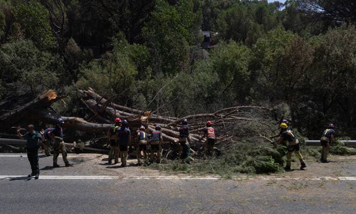 The Community takes charge of the fire, which has no active flames but has led to the evacuation of residential areas near the San Juan Reservoir. Areas scorched by the fire in Madrid’s Sierra Oeste, July 30, 2026, in Pelayos de la Presa, Madrid, Spain. The Community of Madrid has regained control of the operation to combat the forest fire in the Sierra Oeste, which no longer has any active flames but continues to require the evacuation of seven residential developments in the vicinity of the San Juan Reservoir, where access will also be prohibited for several days. JULY 30, 2026 Pelayos de la Presa Madrid Pelayos de la Presa Madrid, Spain  Copyright: xEduardoxParrax 7695726