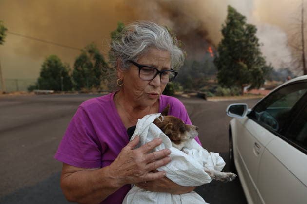 Wildfire rages in Vila-Real, Portugal VILA-REAL, PORTUGAL - JULY 30: A woman holds her dog as she evacuates her village as aerial and ground crews battle the wildfire that broke out in Vila-Real, Portugal on July 30, 2026. The fire that in Valpacos in Villarreal and spread to different parishes in northern Portugal. It s now in Ermidas and the situation is out of control, forcing many residents to evacuate. Felipe Carnotto Anadolu Vila-real Portugal. Editorial use only. Please get in touch for any other usage.  Copyright: x2026xAnadoluxFelipexCarnottox