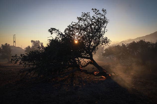 Forest fire in the Greek island of Crete CRETE, GREECE - JULY 30: A view of the embers on the trunk of a tree that is still burning as firefighters continue their efforts to extinguish the wildfire near the village of Agia Paraskevi, in Rethymno, on the island of Crete, Greece, on July 30, 2026. Costas Baltas Anadolu Crete Greece. Editorial use only. Please get in touch for any other usage.  Copyright: x2026xAnadoluxCostasxBaltasx
