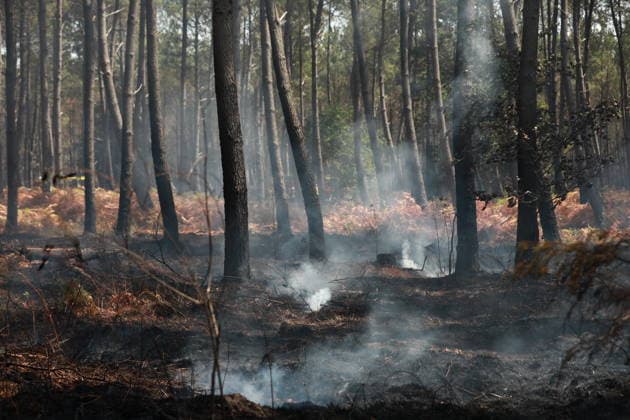 France continues wildfire battle as heat wave keeps Europe on alert BORDEAUX, FRANCE - JULY 30: Firefighters continue efforts to contain a wildfire near Bordeaux in southwestern France as France and Spain battle multiple blazes amid high temperatures and the risk of flare-ups, with active fires reported in Gironde, Var and Cote-d Or and 21 French departments under orange heatwave alerts on July 30, 2026. Four firefighters are injured while battling a fire in the Var department before it is brought under control overnight, including one who suffers a fracture and others affected by minor smoke inhalation, while operations remain difficult due to intense heat and expected southwesterly winds, although crews in Gironde express optimism after a  Copyright: x2026xAnadoluxMohamadxSalaheldinxAbdelghanixAlsayedx
