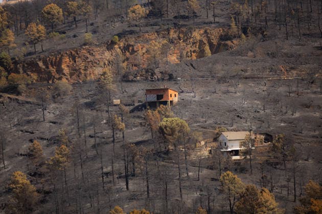 Aftermath of wildfires in Spain AVILA, SPAIN - JULY 30: Burnt forest overlooking the Burguillo reservoir after raging wildfires in Avila, Spain on July 30, 2026. Tamara Rozas Anadolu Avila Spain. Editorial use only. Please get in touch for any other usage.  Copyright: x2026xAnadoluxTamaraxRozasx