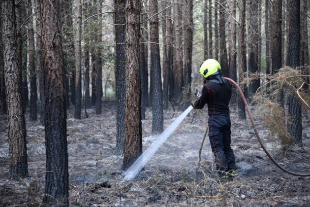 France continues wildfire battle as heat wave keeps Europe on alert BORDEAUX, FRANCE - JULY 30: A firefighter sprays water on smoldering ground while battling wildfire flare-ups in a forest near Bordeaux, France, on July 30, 2026. Fire crews remain deployed across the area as they work to contain the wildfire following the evacuation of nearby campsites and the closure of beaches. Dragan Lekic Anadolu Bordeaux France. Editorial use only. Please get in touch for any other usage.  Copyright: x2026xAnadoluxDraganxLekicx