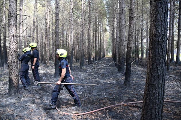 France continues wildfire battle as heat wave keeps Europe on alert BORDEAUX, FRANCE - JULY 30: Firefighters inspect and secure a wildfire-affected forest near Bordeaux, France, on July 30, 2026, as they continue operations to extinguish flare-ups and prevent the fire from reigniting. Fire crews remain deployed following the evacuation of nearby campsites and the closure of beaches due to the wildfire threat. Dragan Lekic Anadolu Bordeaux France. Editorial use only. Please get in touch for any other usage.  Copyright: x2026xAnadoluxDraganxLekicx