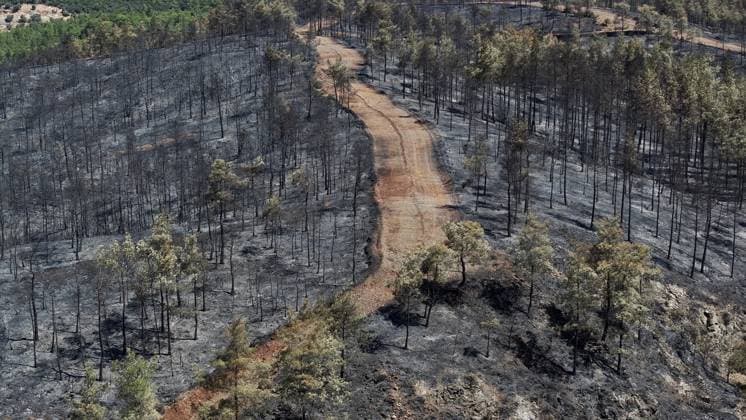 Aerial view shows fire-damaged forest area in Fethiye, Mugla MUGLA, TURKIYE - JULY 31: An aerial view shows the forested area damaged by a fire in the Fethiye district of Mugla, Turkiye on July 31, 2026. The wildfire left visible damage across the woodland area. Ali Riza Akkir Anadolu Mugla Turkey. Editorial use only. Please get in touch for any other usage.  Copyright: x2026xAnadoluxAlixRizaxAkkirx