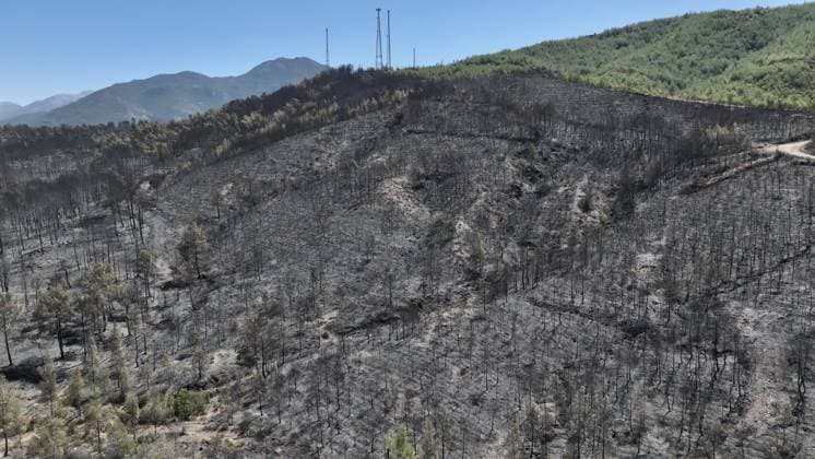 Aerial view shows fire-damaged forest area in Fethiye, Mugla MUGLA, TURKIYE - JULY 31: An aerial view shows the forested area damaged by a fire in the Fethiye district of Mugla, Turkiye on July 31, 2026. The wildfire left visible damage across the woodland area. Ali Riza Akkir Anadolu Mugla Turkey. Editorial use only. Please get in touch for any other usage.  Copyright: x2026xAnadoluxAlixRizaxAkkirx