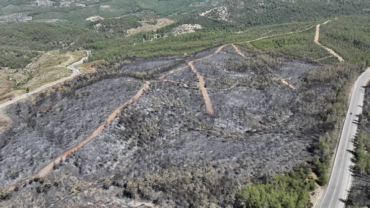 Aerial view shows fire-damaged forest area in Fethiye, Mugla MUGLA, TURKIYE - JULY 31: An aerial view shows the forested area damaged by a fire in the Fethiye district of Mugla, Turkiye on July 31, 2026. The wildfire left visible damage across the woodland area. Ali Riza Akkir Anadolu Mugla Turkey. Editorial use only. Please get in touch for any other usage.  Copyright: x2026xAnadoluxAlixRizaxAkkirx