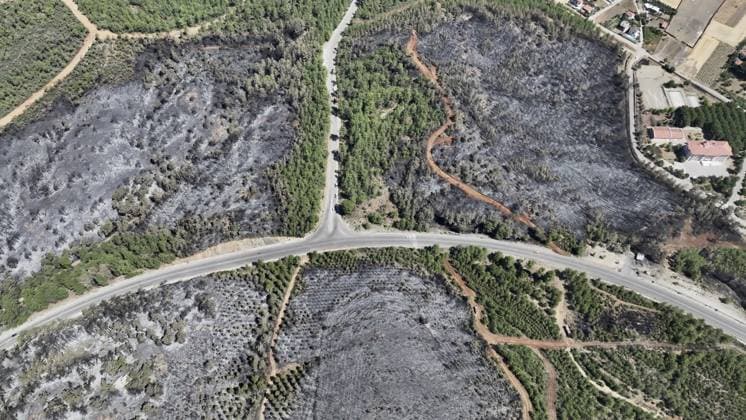 Aerial view shows fire-damaged forest area in Fethiye, Mugla MUGLA, TURKIYE - JULY 31: An aerial view shows the forested area damaged by a fire in the Fethiye district of Mugla, Turkiye on July 31, 2026. The wildfire left visible damage across the woodland area. Ali Riza Akkir Anadolu Mugla Turkey. Editorial use only. Please get in touch for any other usage.  Copyright: x2026xAnadoluxAlixRizaxAkkirx