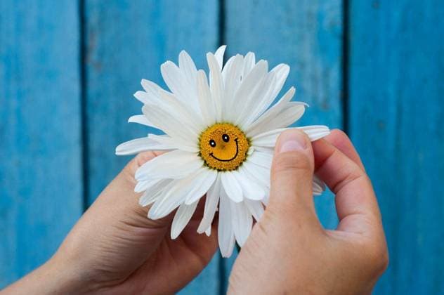 Chamomile with a smile in human hands on blue blurred background, selective focus Copyright: xndankox Panthermedia74472262.jpg