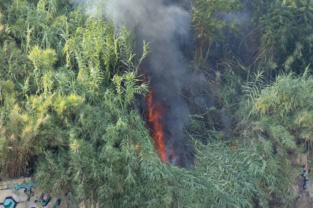 IPA87137288 - Rome: Fire Breaks Out on Monte Ciocci in Rome  Copyright: xMatteoxNardonex xx 87137288