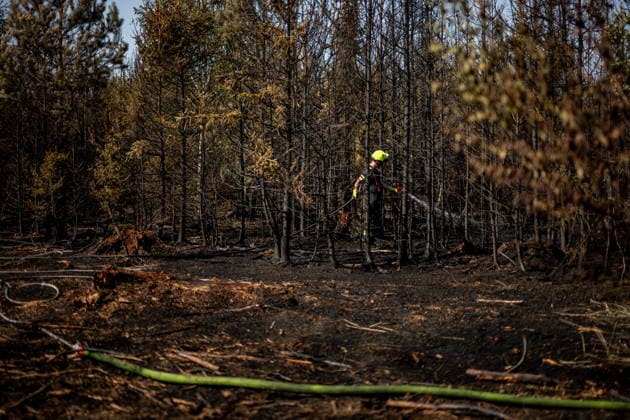 Forest fire extinguishing in the Czech Republic VETRKOVICE, CZECH REPUBLIC - JULY 31: Czech firefighters extinguish a forest and field fire covering an area of ??27 hectares in Vetrkovice (Moravian-Silesian Region), Czech Republic on July 31, 2026. According to a fire department spokesperson, 13 firefighting units are responding. Firefighters are also continuously monitoring the situation using drones, which provide an overview of the fire s development and help manage firefighting efforts. Work will continue into the next night. Lukas Kabon Anadolu Vetrkovice Czech Republic. Editorial use only. Please get in touch for any other usage.  Copyright: x2026xAnadoluxLukasxKabonx