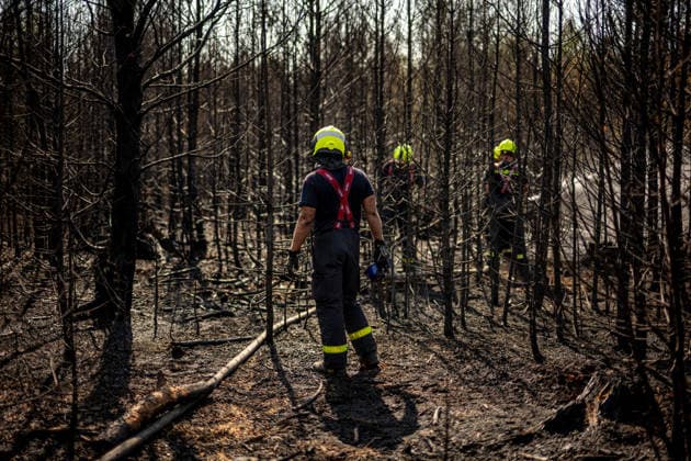 Forest fire extinguishing in the Czech Republic VETRKOVICE, CZECH REPUBLIC - JULY 31: Czech firefighters extinguish a forest and field fire covering an area of ??27 hectares in Vetrkovice (Moravian-Silesian Region), Czech Republic on July 31, 2026. According to a fire department spokesperson, 13 firefighting units are responding. Firefighters are also continuously monitoring the situation using drones, which provide an overview of the fire s development and help manage firefighting efforts. Work will continue into the next night. Lukas Kabon Anadolu Vetrkovice Czech Republic. Editorial use only. Please get in touch for any other usage.  Copyright: x2026xAnadoluxLukasxKabonx