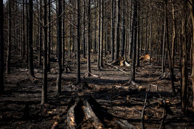 Forest fire extinguishing in the Czech Republic VETRKOVICE, CZECH REPUBLIC - JULY 31: Czech firefighters extinguish a forest and field fire covering an area of ??27 hectares in Vetrkovice (Moravian-Silesian Region), Czech Republic on July 31, 2026. According to a fire department spokesperson, 13 firefighting units are responding. Firefighters are also continuously monitoring the situation using drones, which provide an overview of the fire s development and help manage firefighting efforts. Work will continue into the next night. Lukas Kabon Anadolu Vetrkovice Czech Republic. Editorial use only. Please get in touch for any other usage.  Copyright: x2026xAnadoluxLukasxKabonx