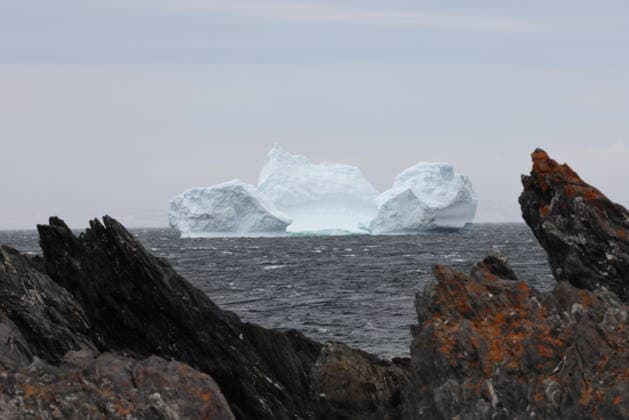Creative Highlights World Massiver arktischer Eisberg auf Grund in den seichten Gewässern von Hay Cove, Newfoundland *** massive Arctic Iceberg at reason in the shallow Waters from Hay Cove, Newfoundland 1136107106