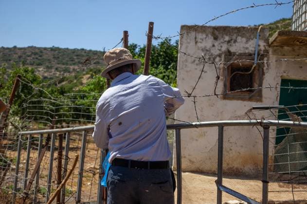 Israeli Settlers Cut Down Lemon Trees in Wadi Kana WADI KANA, Salfit, West Bank July 31, 2026: Seventeen lemon trees are cut down after Israeli settlers entered a family s property in Wadi Kana, on the lands of Deir Istiya in the Salfit Governorate, late on Wednesday night. The settlers also damaged the entrance gate to the property. Salfit PS Copyright: x xRomanxLevinx xJNAxPressx