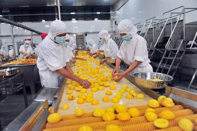 YICHANG, CHINA - AUGUST 01: Workers process yellow peaches on an automated production line at the fruit workshop of Qugu International Agriculture Group on August 1, 2026 in Zigui, Hubei Province of China.  Copyright: xVCGx 111657565607