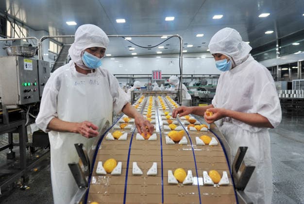 YICHANG, CHINA - AUGUST 01: Workers process yellow peaches on an automated production line at the fruit workshop of Qugu International Agriculture Group on August 1, 2026 in Zigui, Hubei Province of China.  Copyright: xVCGx 111657565614