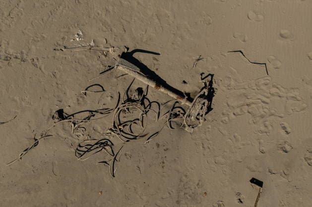 Batina 010826. Historically low water level of the Danube has revealed the remains of old cars, ships and weapons in its riverbed. Photo: Marin Franov CROPIX Copyright: xxMarinxFranovx batina_vodostaj83-010826