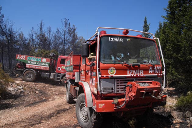 Firefighting efforts continue in Izmir??????? IZMIR, TURKIYE - AUGUST 01: Turkish General Directorate of Forestry teams and firefighters, supported by aircraft, fight a forest fire in the Tinaztepe neighborhood of Buca district in Izmir, Turkiye on August 01, 2026. Aerial and ground teams continue efforts to bring the blaze under control. Berkan Cetin Anadolu Izmir Turkey. Editorial use only. Please get in touch for any other usage.  Copyright: x2026xAnadoluxBerkanxCetinx