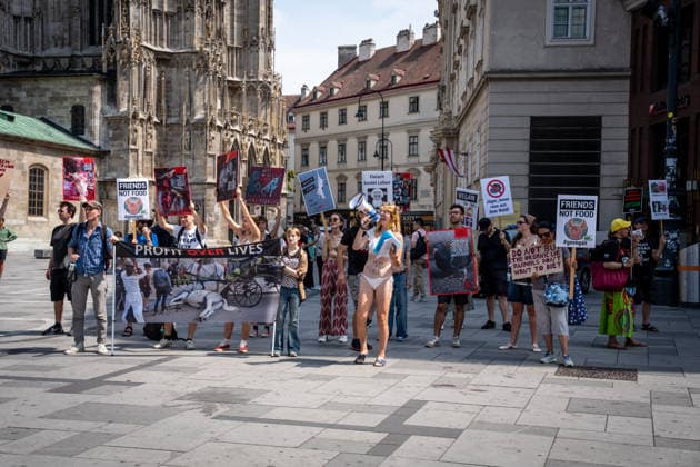 Animal rights activists stage vegan awareness protest in Vienna Animal rights activists hold banners and placards during a vegan awareness protest in central Vienna, Austria, on August 1, 2026. Demonstrators called for an end to animal exploitation and promoted plant-based living. Vienna Vienna Austria Copyright: xxFikretxOzgurx