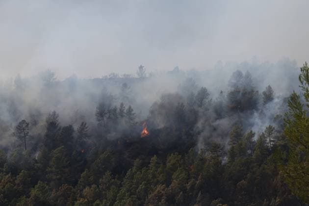 fires in the Var PHOTOPQR LA PROVENCE PHILIPPE LAURENSON Var August 1, 2026 fires in the Var Var August 1, 2026 fires in the Var Var Var France  Copyright: xPHOTOPQR LAxPROVENCE MAXPPPxPHILIPPExLAURENSONx 20260801PVL2880 20260801PVL2880