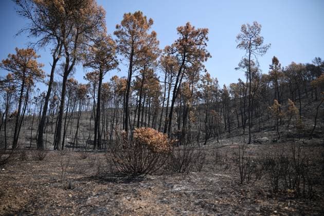 fires in the Var PHOTOPQR LA PROVENCE PHILIPPE LAURENSON Var August 1, 2026 fires in the Var Var August 1, 2026 fires in the Var Var Var France  Copyright: xPHOTOPQR LAxPROVENCE MAXPPPxPHILIPPExLAURENSONx 20260801PVL2884 20260801PVL2884