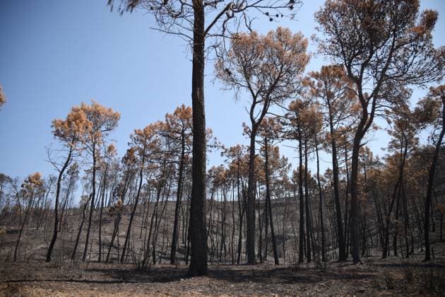 fires in the Var PHOTOPQR LA PROVENCE PHILIPPE LAURENSON Var August 1, 2026 fires in the Var Var August 1, 2026 fires in the Var Var Var France  Copyright: xPHOTOPQR LAxPROVENCE MAXPPPxPHILIPPExLAURENSONx 20260801PVL2885 20260801PVL2885