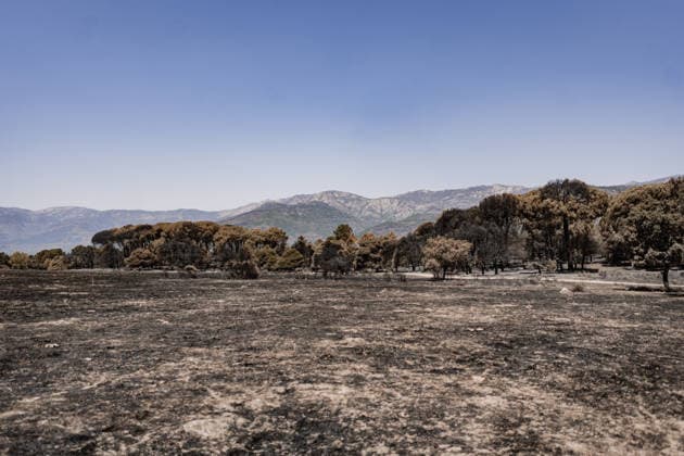 The Burgohondo, Ávila wildfire is progressing as expected, and 50 firefighters from Catar Vista have been deployed one week after the fire broke out, on August 1, 2026, in La Adrada, Castile and León, Spain. The regional delegate of the Regional Government in Ávila, José Francisco Hernández Herrero, has stated that the Burgohondo wildfire is progressing as expected and has expressed confidence that it can be brought under complete control in the coming hours or days, although for the time being it remains at Level 2 on the Potential Severity Index (IGR) 2 AUGUST 2026 FIRE NATURAL FIRE BURNT LANDSCAPE CHARRED SMOKE GARDEN TIÉTAR VALLEY LA ADRADA CASAVIEJA PIEDRALAVES SCULPTURE DONKEYS CAR César Vallejo Rodrí La Adrada, Ávila, Castile and Le  Copyright: xCÃ sarxVallejoxRodriguezx 7698605