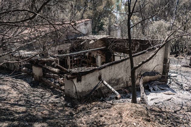 The Burgohondo, Ávila, wildfire is progressing as expected, and 50 firefighters from Catar Vista have been deployed one week after the fire broke out, on August 1, 2026, in La Adrada, Castile and León, Spain. The regional delegate of the Regional Government in Ávila, José Francisco Hernández Herrero, has stated that the Burgohondo wildfire is progressing as expected and has expressed confidence that it can be brought under complete control in the coming hours or days, although for the time being it remains at Level 2 on the Potential Severity Index (IGR) 2 AUGUST 2026 FIRE NATURAL DISASTER BURNT LANDSCAPE CHARRED SMOKE GARDEN TIÉTAR VALLEY LA ADRADA CASAVIEJA PIEDRALAVES SCULPTURE DONKEYS CAR César Vallejo Rodrí La Adrada, Ávila, Castile a  Copyright: xCÃ sarxVallejoxRodriguezx 7698609