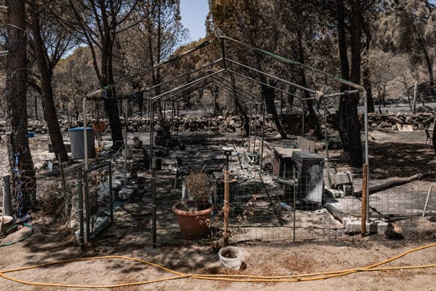 The Burgohondo, Ávila, wildfire is progressing as expected, and 50 firefighters from Catar Vista have been deployed one week after the fire broke out, on August 1, 2026, in La Adrada, Castile and León, Spain. The regional delegate of the Regional Government in Ávila, José Francisco Hernández Herrero, has stated that the Burgohondo wildfire is progressing as expected and has expressed confidence that it can be brought under complete control in the coming hours or days, although for the time being it remains at Level 2 on the Potential Severity Index (IGR) 2 AUGUST 2026 FIRE NATURAL DISASTER BURNT LANDSCAPE SMOKE GARDEN TIÉTAR VALLEY LA ADRADA CASAVIEJA PIEDRALAVES SCULPTURE DONKEYS CAR César Vallejo Rodrí La Adrada, Ávila, Castile and Leo L  Copyright: xCÃ sarxVallejoxRodriguezx 7698626