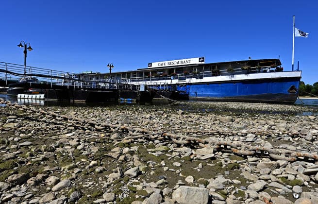 Die anhaltende Hitzewelle führt weiter zu starkem Niedrigwasser im Rhein und lässt die Pegelstände weiter sinken.Binnenfrachtschiffe können wegen des geringen Wasserstands nicht mehr voll beladen werden.Im Kölner Stadtteil Rodenkirchen liegt ein Restaurantschiff schon auf dem Trockenen,fotografiert am 01.August 2026. Die Fotos sind authentisch und nicht mit KI-bearbeitet!!!! Â *** The ongoing heat wave continues to cause severely low water levels in the Rhine, causing water levels to drop further. Due to the low water levels, inland cargo ships can no longer be fully loaded. In the Rodenkirchen district of Cologne, a restaurant ship is already sitting on dry land,photographed on August 1, 2026. The photos are authentic and have not bee