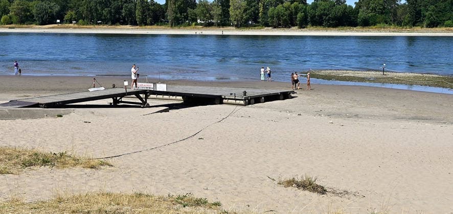 Die anhaltende Hitzewelle führt weiter zu starkem Niedrigwasser im Rhein und lässt die Pegelstände weiter sinken.Binnenfrachtschiffe können wegen des geringen Wasserstands nicht mehr voll beladen werden.Im Kölner Stadtteil Rodenkirchen liegt ein Steg vom Kölner Ruderverein schon auf dem Trockenen,Ruderboote können nicht zu Wasser gelassen werden,fotografiert am 01.August 2026. Die Fotos sind authentisch und nicht mit KI-bearbeitet!!!! Â *** The ongoing heat wave continues to cause severely low water levels in the Rhine, causing water levels to drop further. Inland cargo ships can no longer be fully loaded due to the low water levels. In the Rodenkirchen district of Cologne, a dock belonging to the Cologne Rowing Club is already sitti